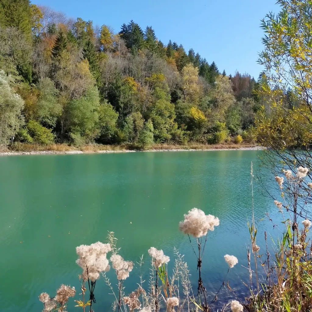 Les Iles du Chéran - photo 2