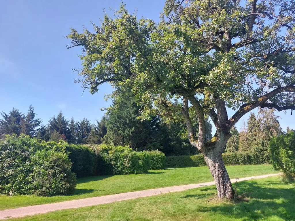 Camping de la Forêt - Écouves - photo 1