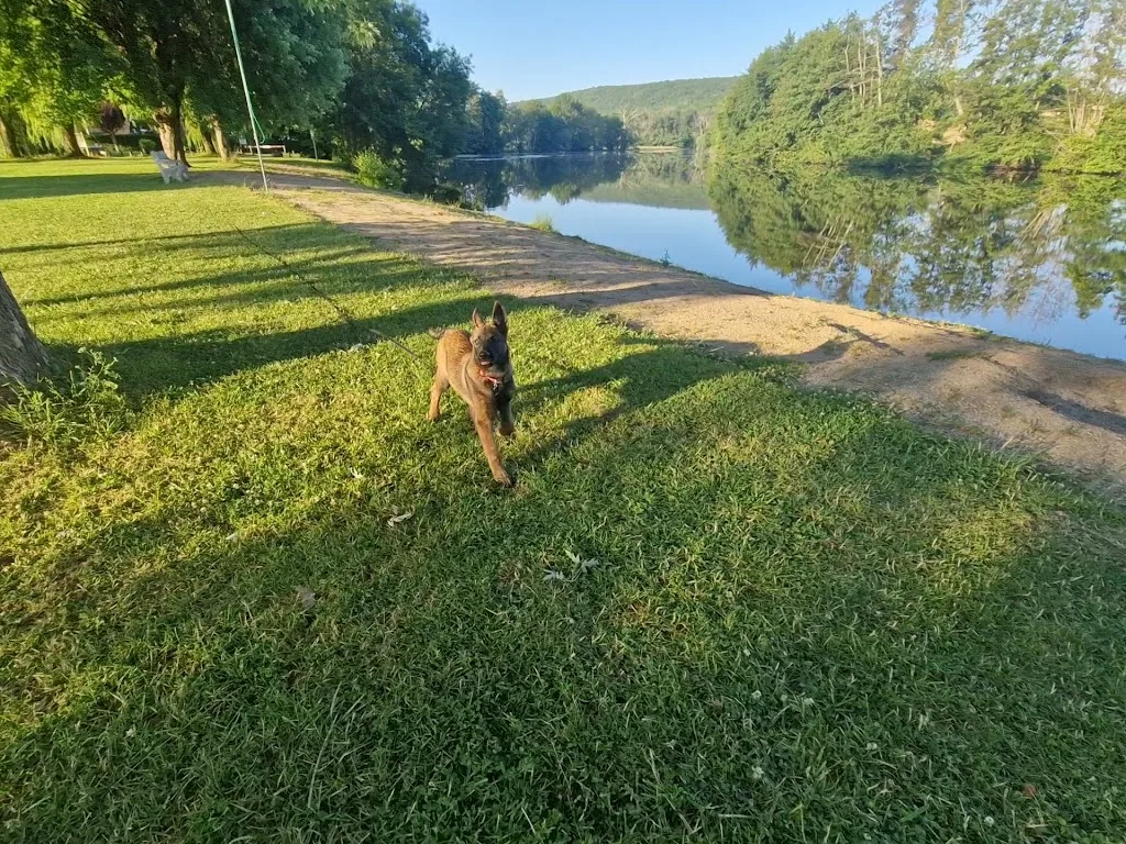 Camping les Coullemières - photo 2
