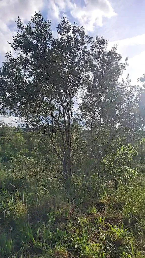 Le No Man's land - photo 1