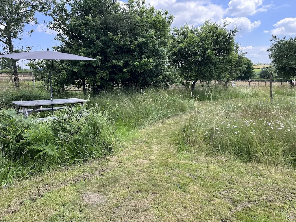 Le sud du Morvan: Camping Luzy | Pensionstal | Biologische diervoeding - photo 2