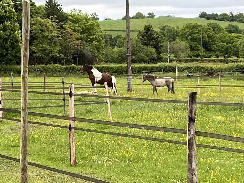 Le sud du Morvan: Camping Luzy | Pensionstal | Biologische diervoeding - photo 3