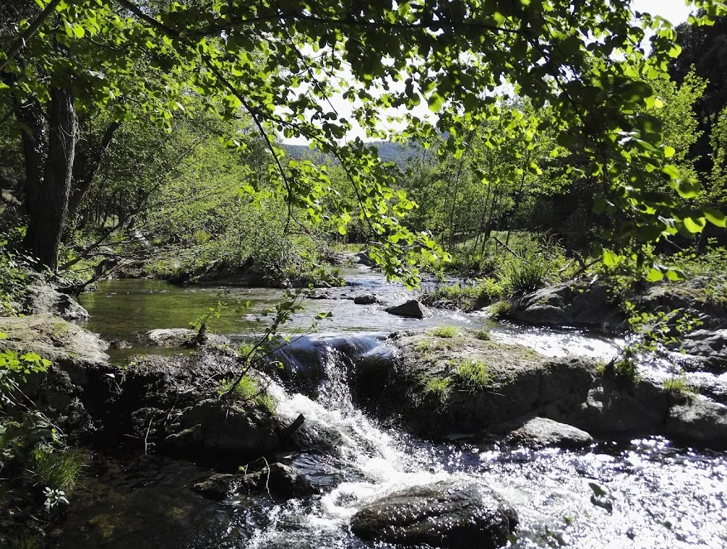 Camping Naturiste La Clapère - photo 1
