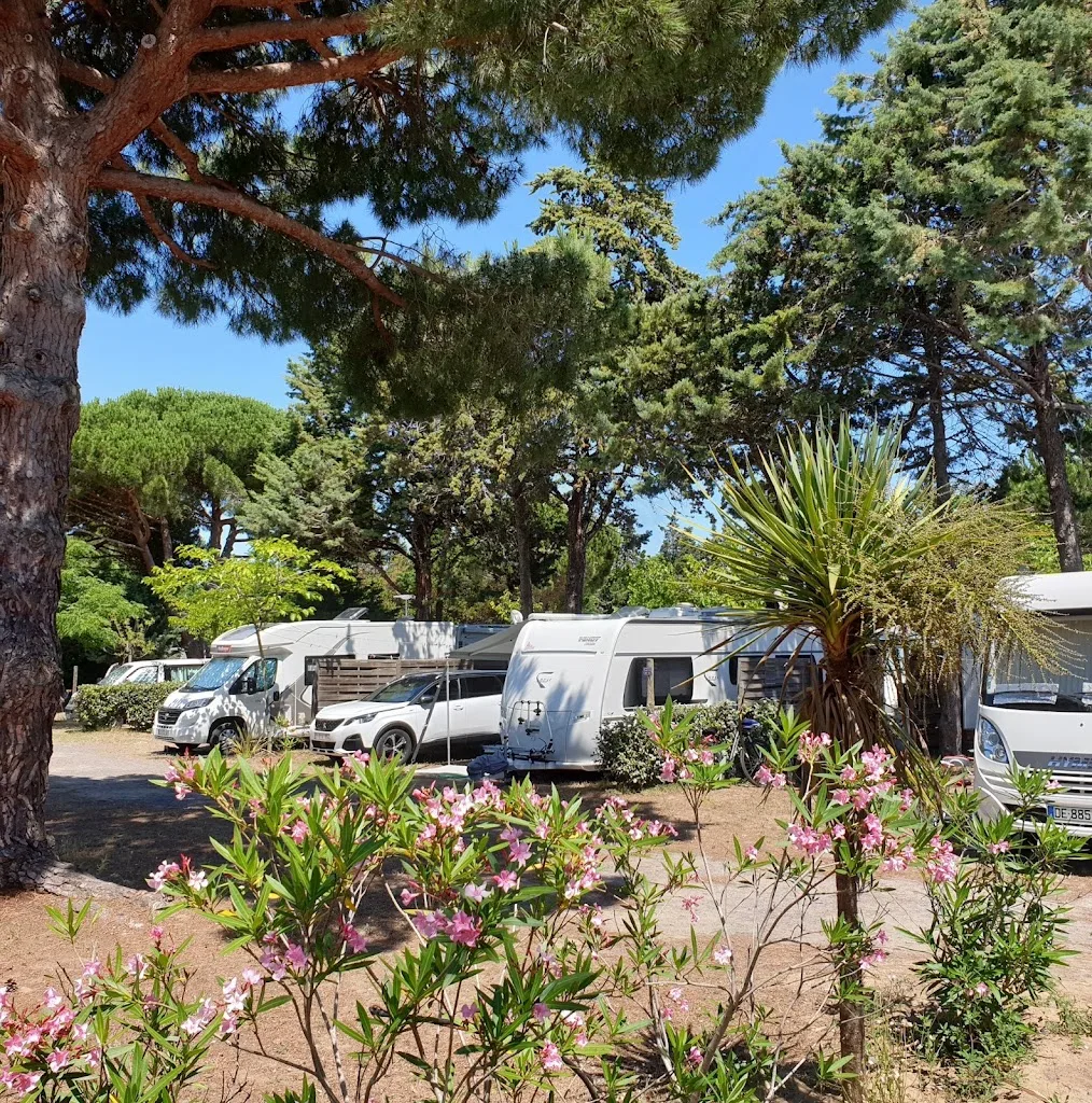 Camping les Sablettes - photo 1