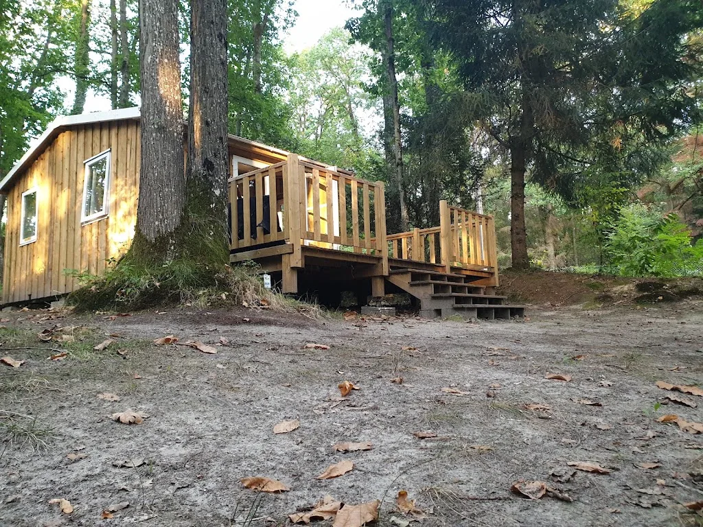 Caravane Milly - photo 2