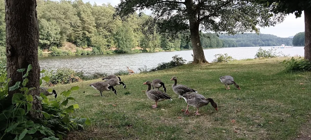 Réception - photo 1