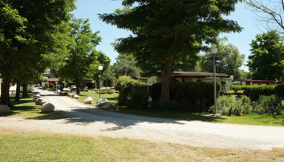 La Pichardière - photo 1