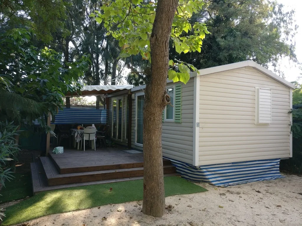 SCI OASIS - photo 1