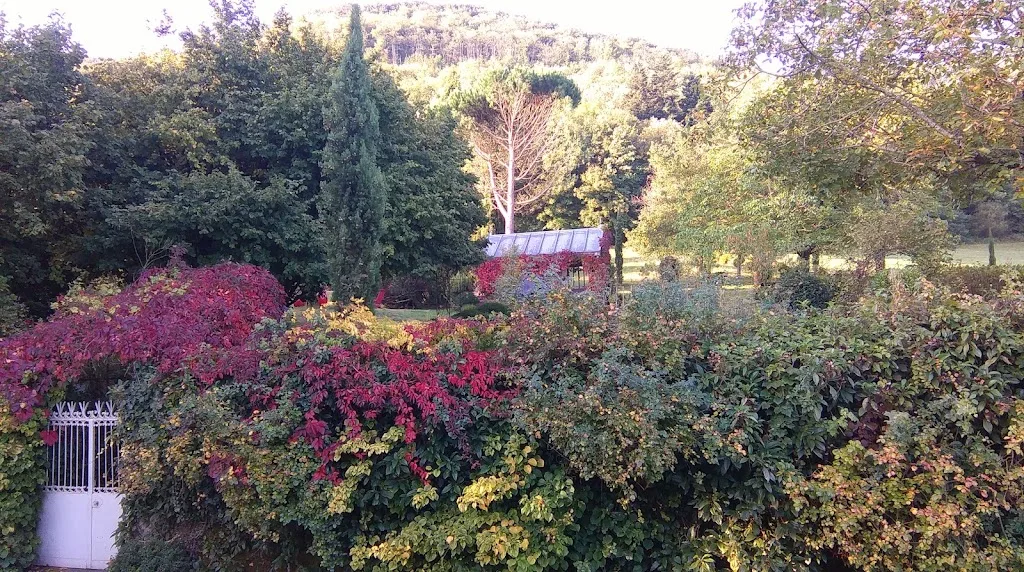 Camping Vallée du Thoré - photo 1