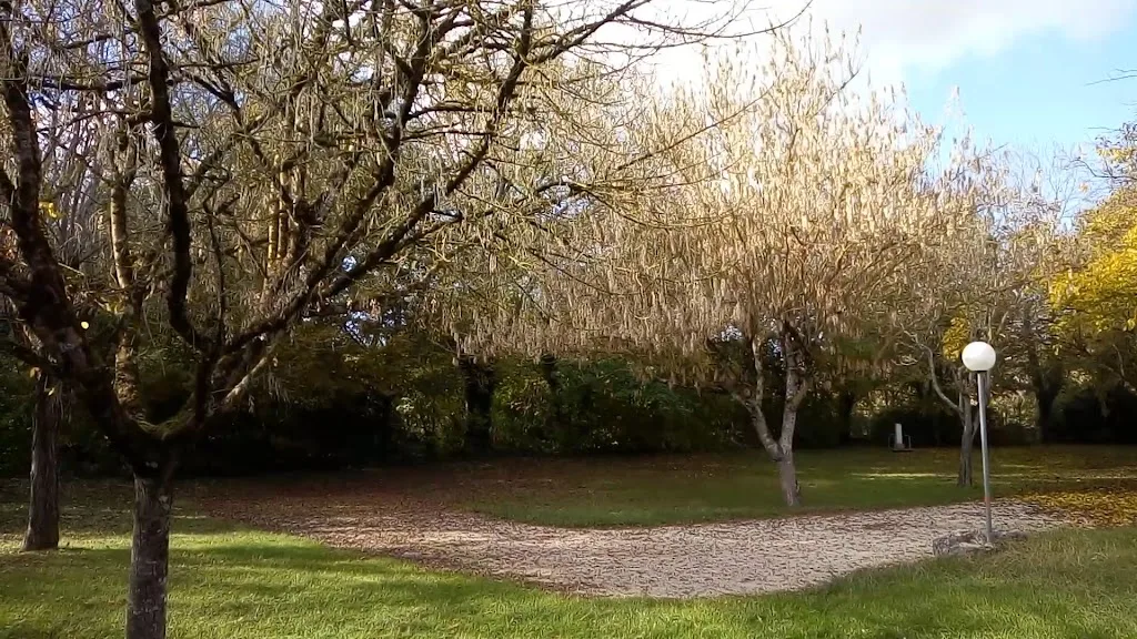 Camping municipal "La Chaussée" - photo 1