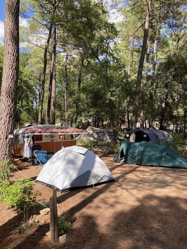 Camping La Simioune Vaucluse & Drôme Provençale - photo 2
