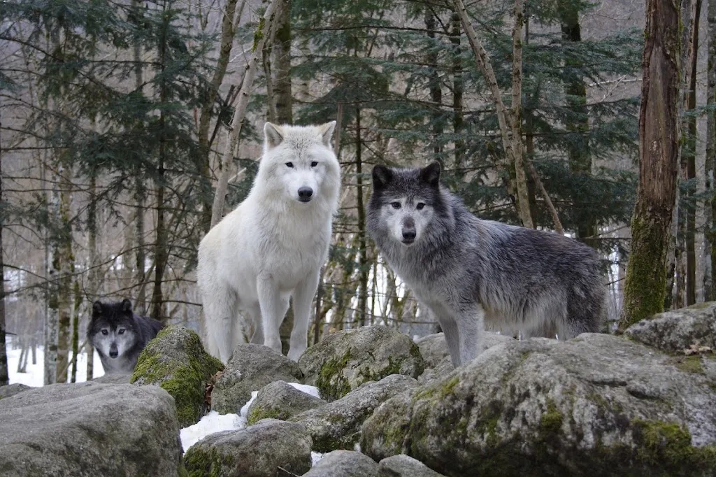 Vallée d'Orlu - vallée de l'Oriège - photo 1