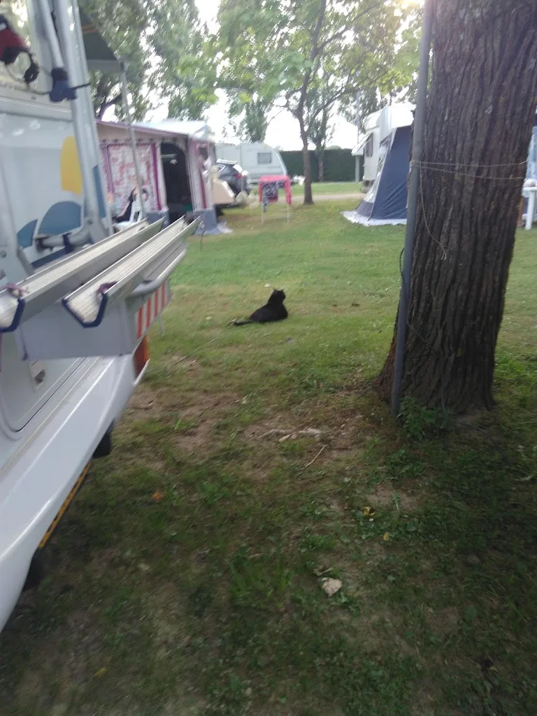 Camping aire naturelle de Dailhat - photo 2