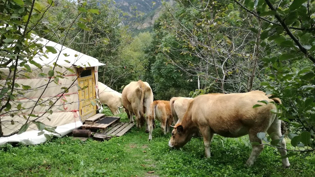 El Manau Camping - photo 1