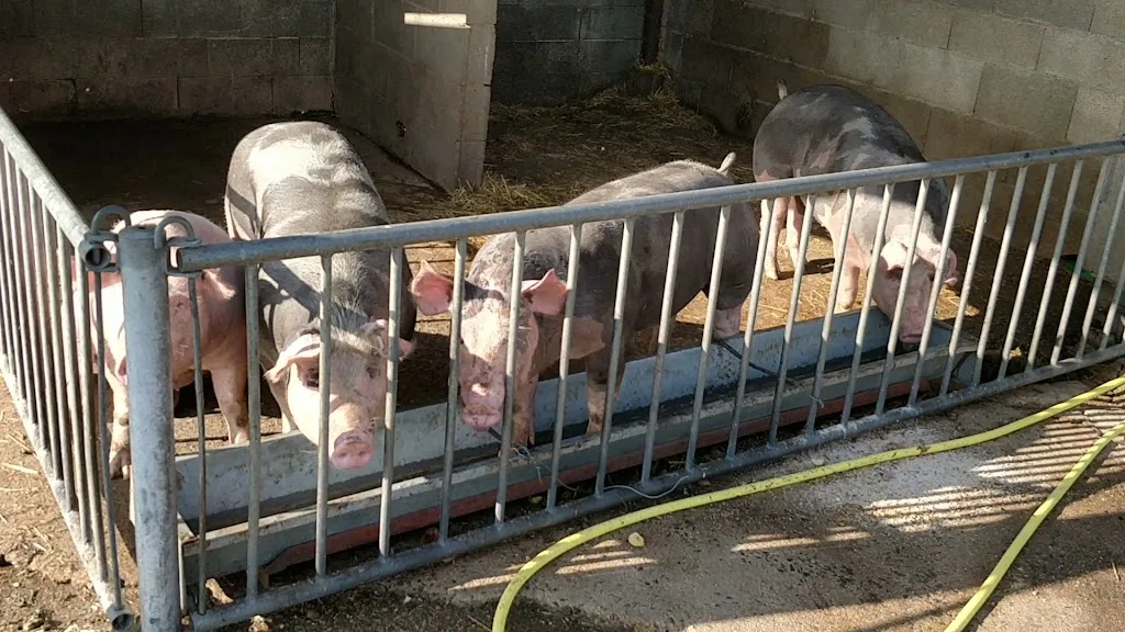 La Boissiere Du Dore - photo 2