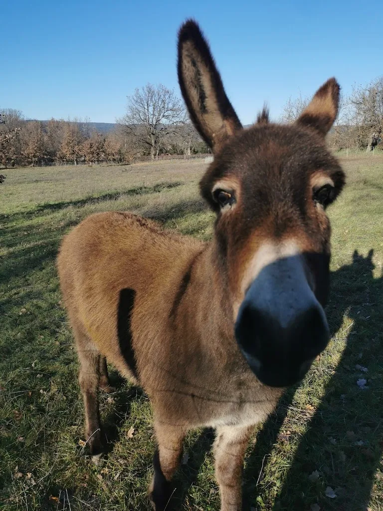 Camping à la ferme Les Boudougnes - photo 1