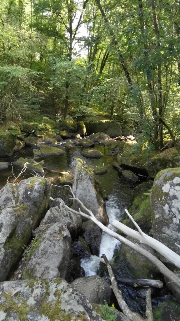 Au bois de Calais - Camping correze - photo 2