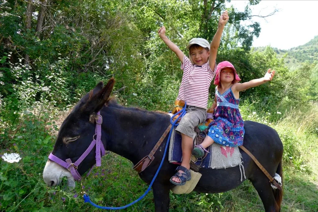Camping à la ferme de Bamboul'âne, Randonnée avec ânes, - photo 1