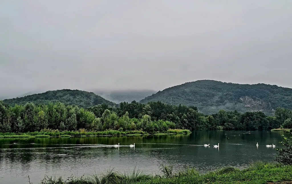 Camping Municipal Du Lac - photo 2