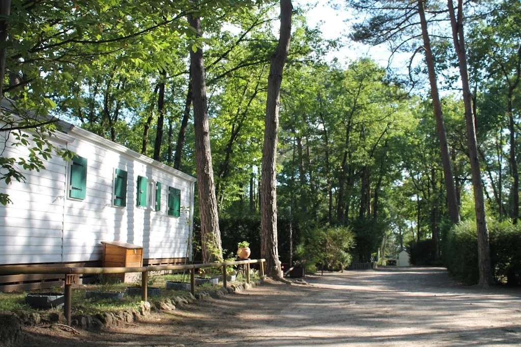 Camp de loisirs La Baraude - photo 3