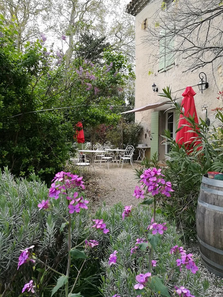 Montagne de St-Thomé - photo 2