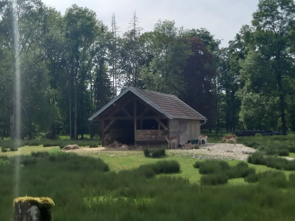 Camping de la Maladière - photo 2