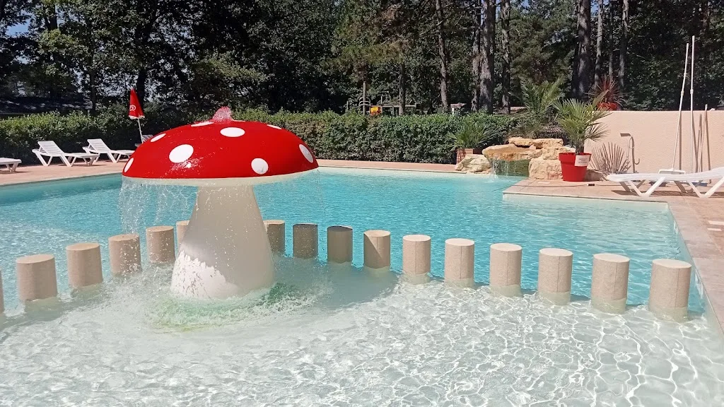 Camping Saint Sauvayre - photo 1
