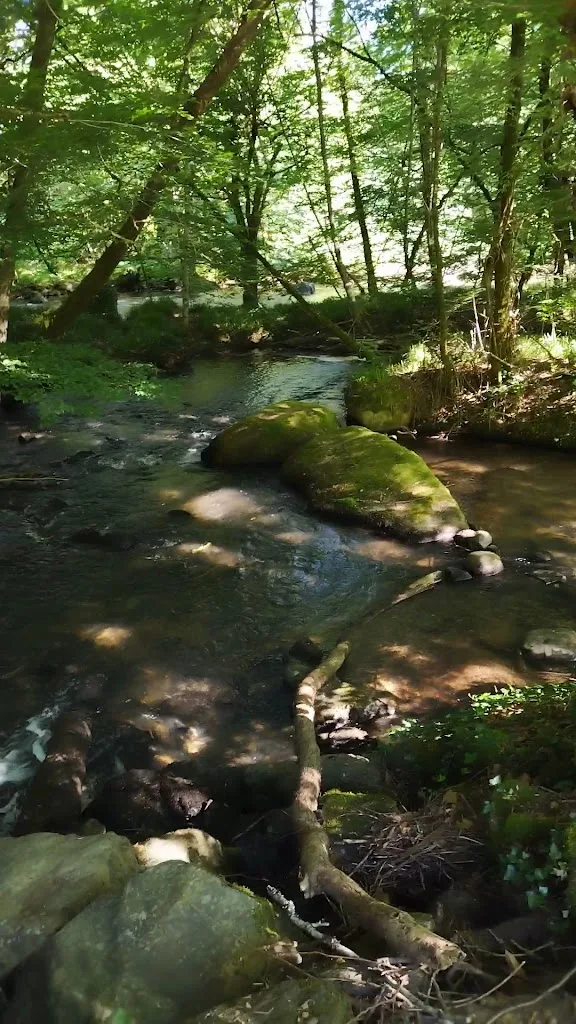 Aire Naturelle camping Et Gite D'etape De La Bontat - photo 1