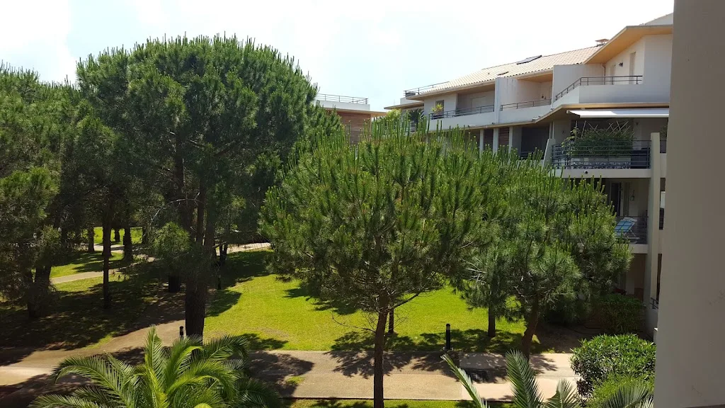Vacances ULVF Camping ULibecciu - photo 2