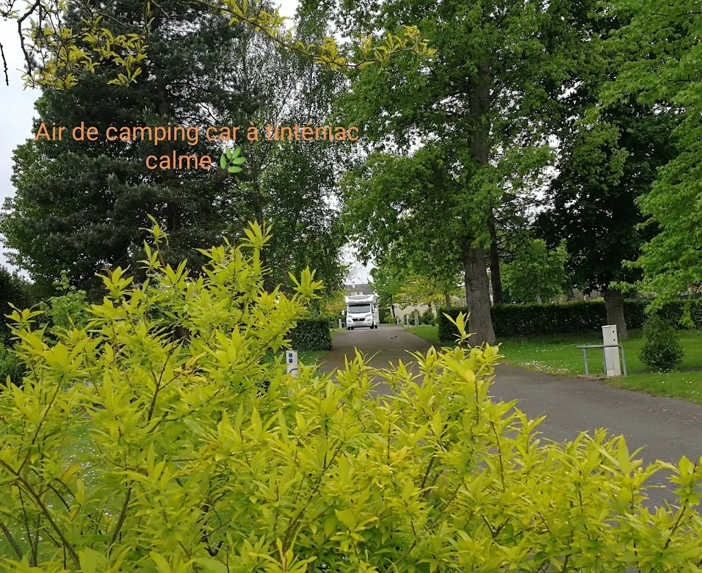 Camping Municipal - photo 2