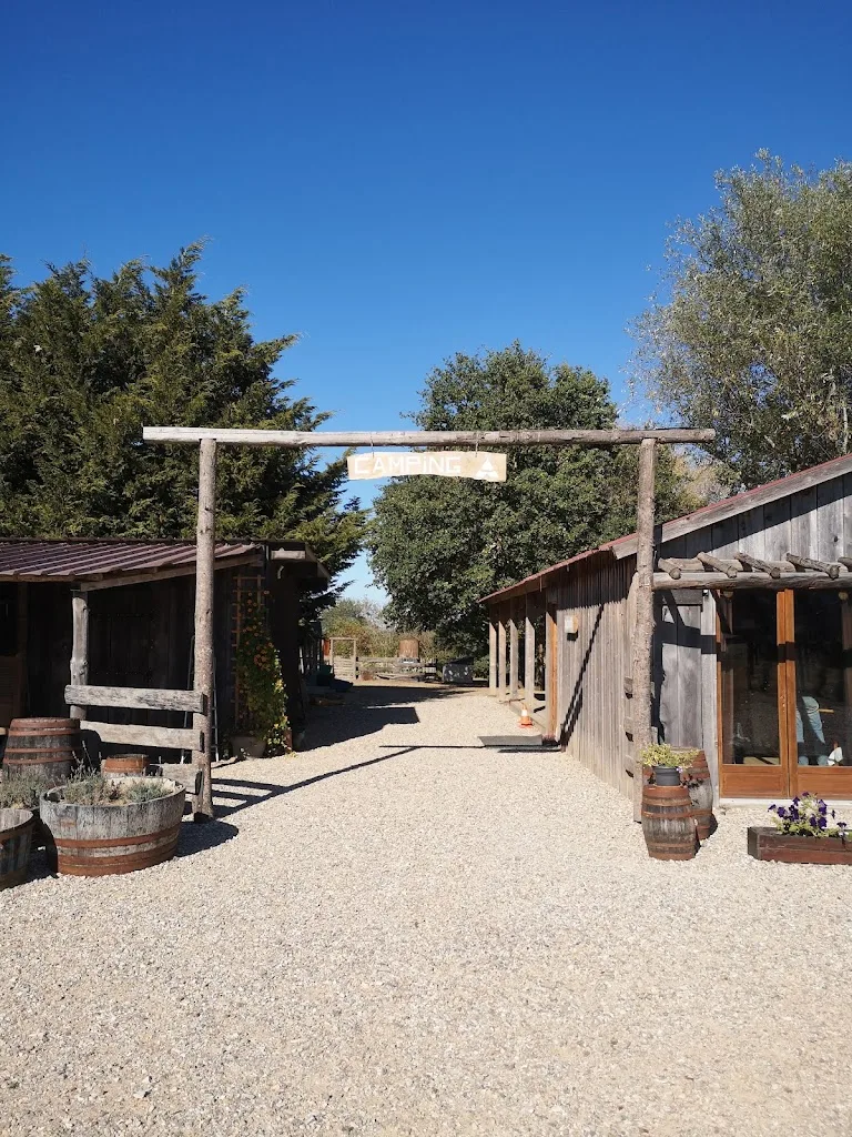 Mini Camping Du Ranch - photo 2