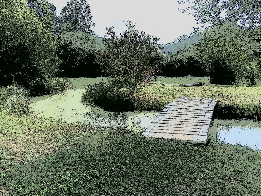 Camping La Brugère Rene En Lieke - photo 3
