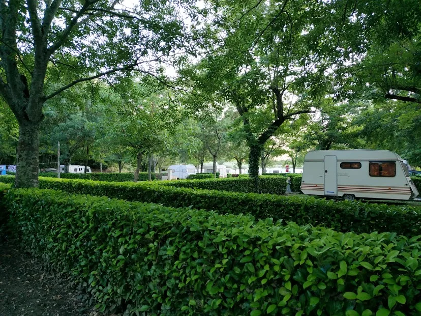 Camping le Micocoulier - photo 2