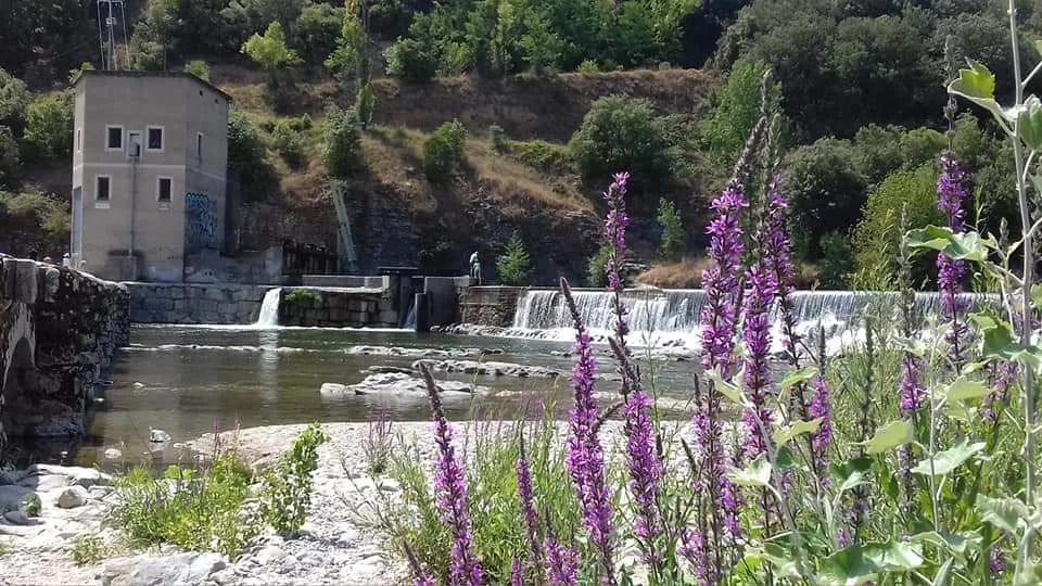 Camping le Micocoulier - photo 3