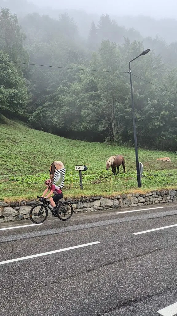 Camping La Ribère / Location Chalets et Emplacements - photo 3