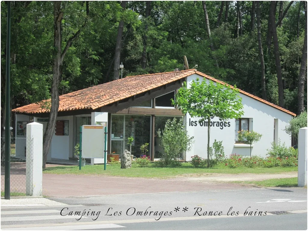Camping Des Pins - photo 1