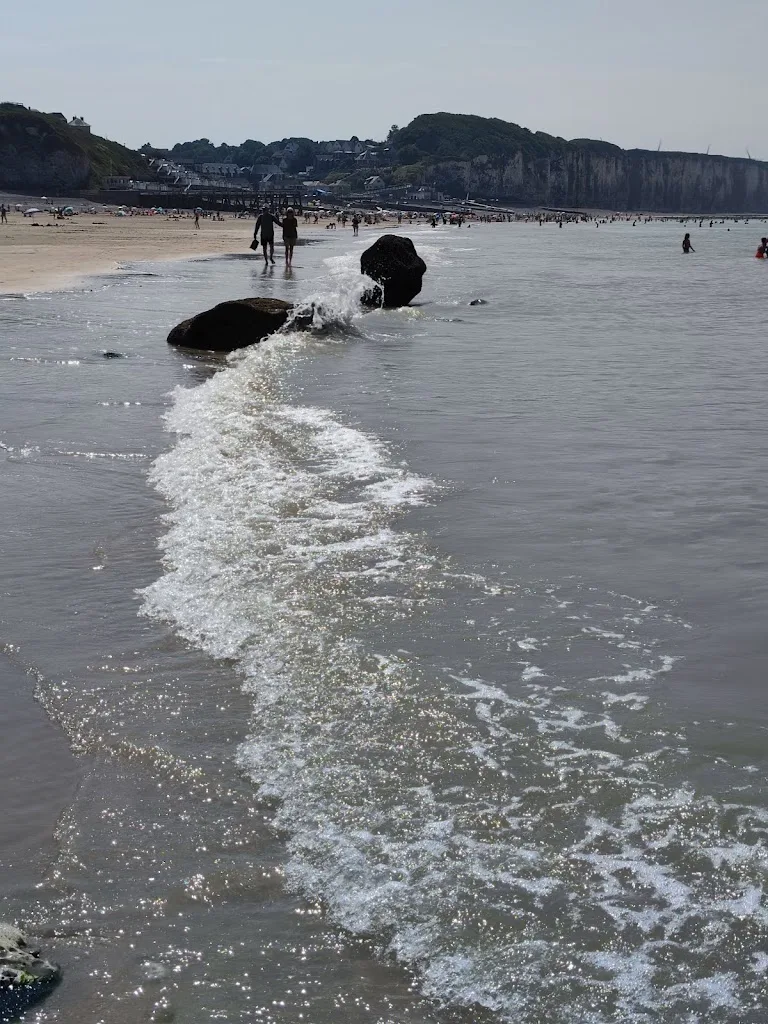 Camping les moutons - photo 1