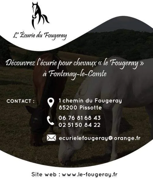 Écurie et Camping Le Fougeray - photo 2