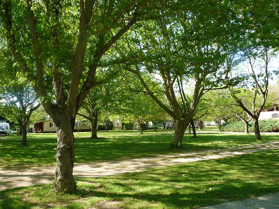 Camping Le Peyrolais 3 étoiles, bord rivière Ardèche - photo 1