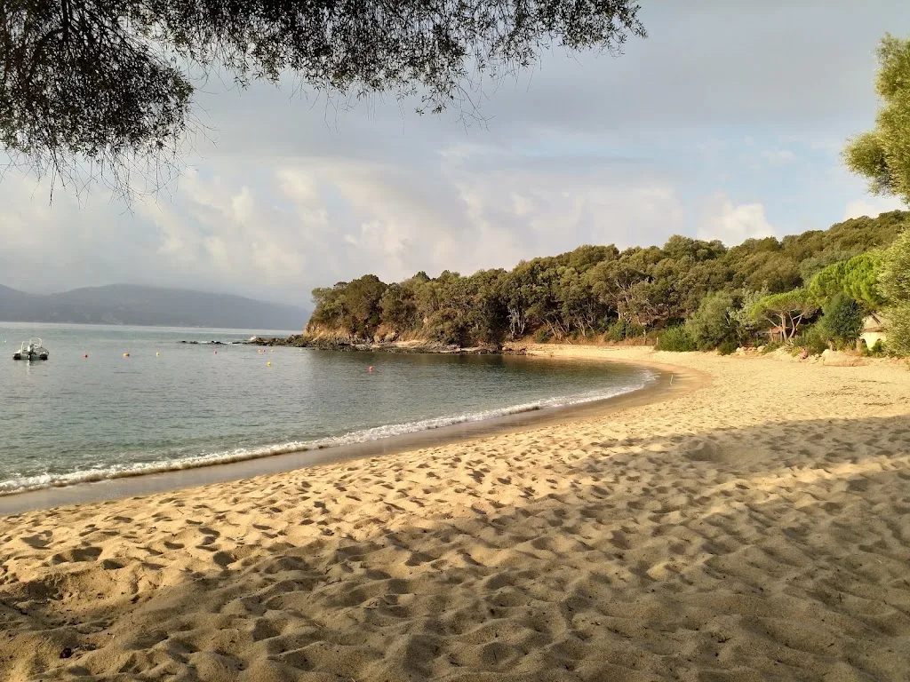 ECOVILLAGE LE DOMAINE DE CALZOLA - photo 2