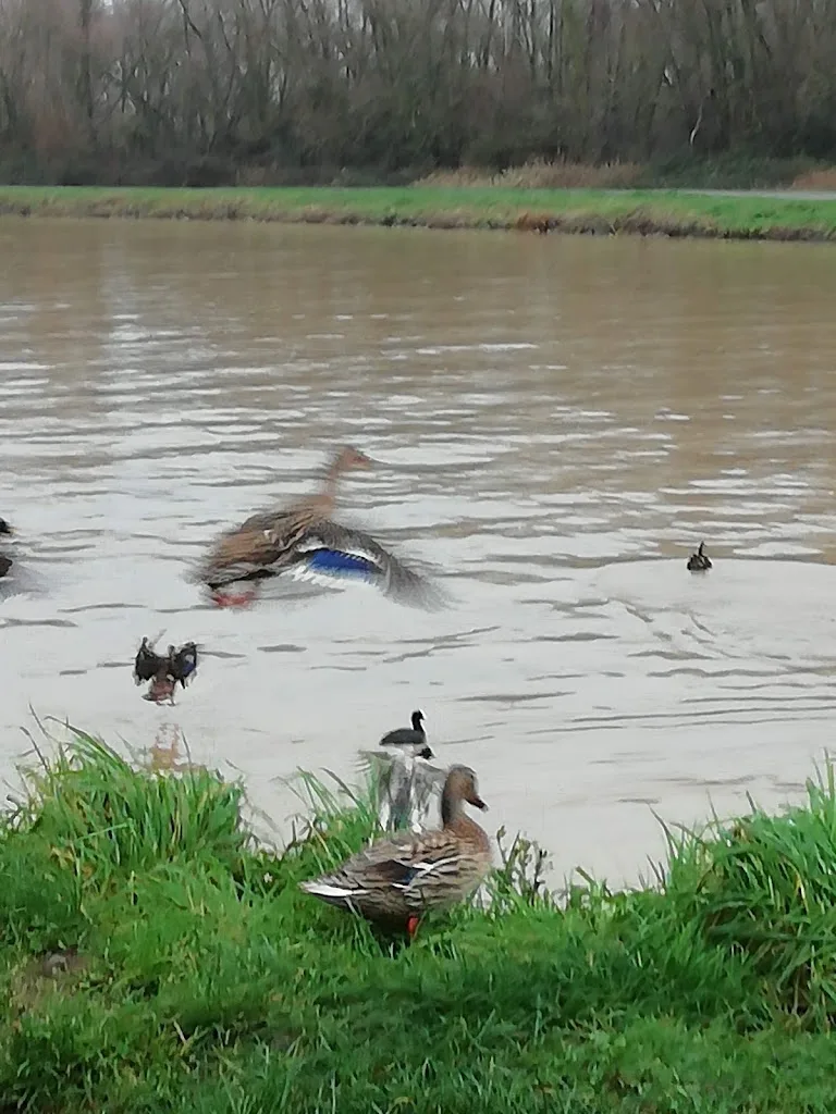 camping du colvert *** - photo 2