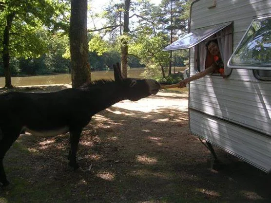 Camping de Malesse - photo 1