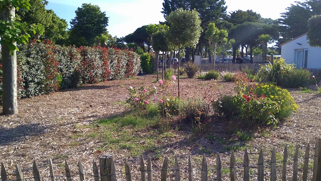 Camping Les Salières - photo 1