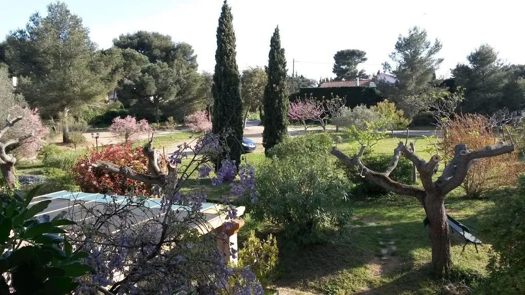 Camping La Pinède Six-Fours - photo 2