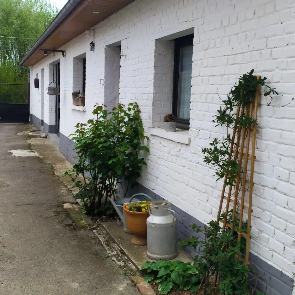 Camping Le Manoir - photo 3