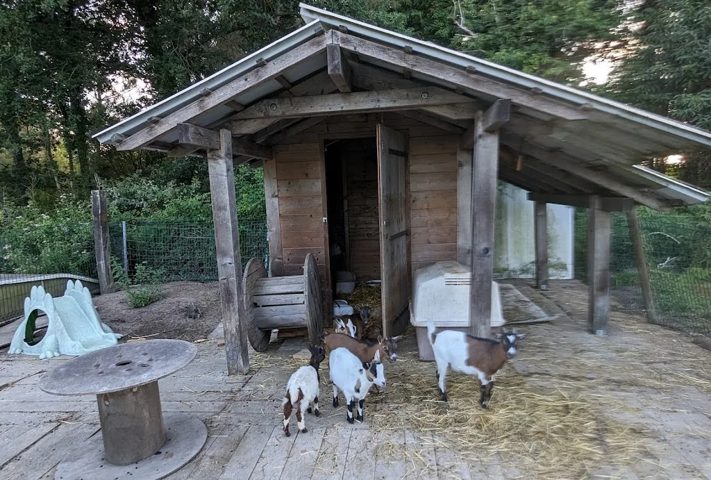 camping tosse - photo 2