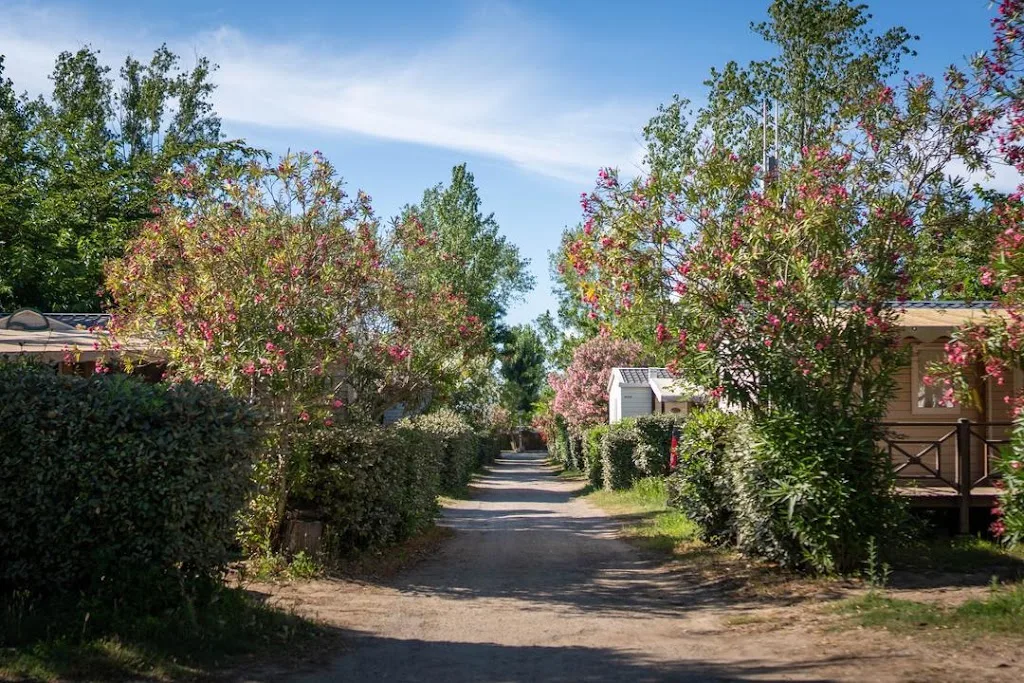 Les Jardins De Tivoli - Camping Grau du Roi, Camargue - photo 2
