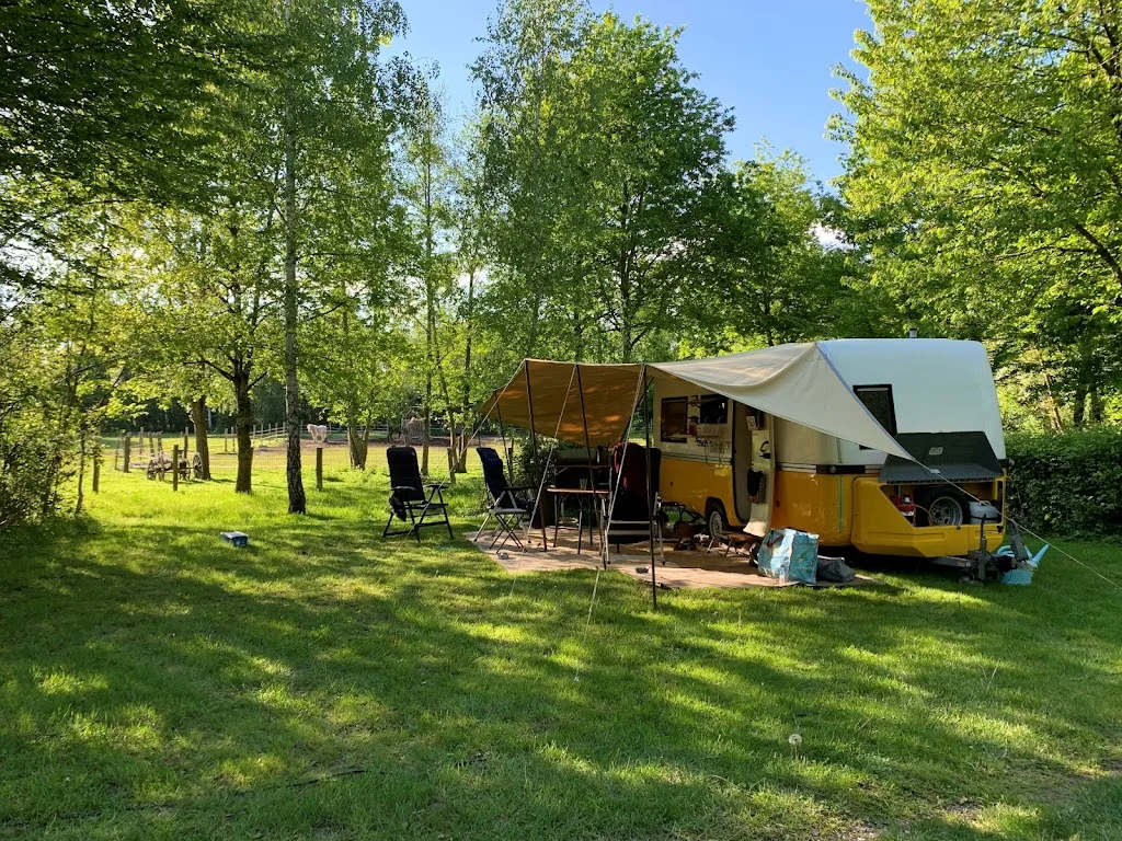 Camping De La Chapelle St Sauveur - photo 3