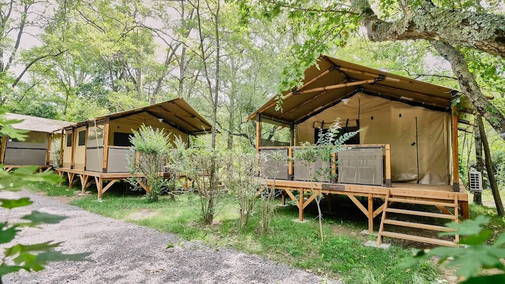 Ludo Camping | Pausado - photo 2