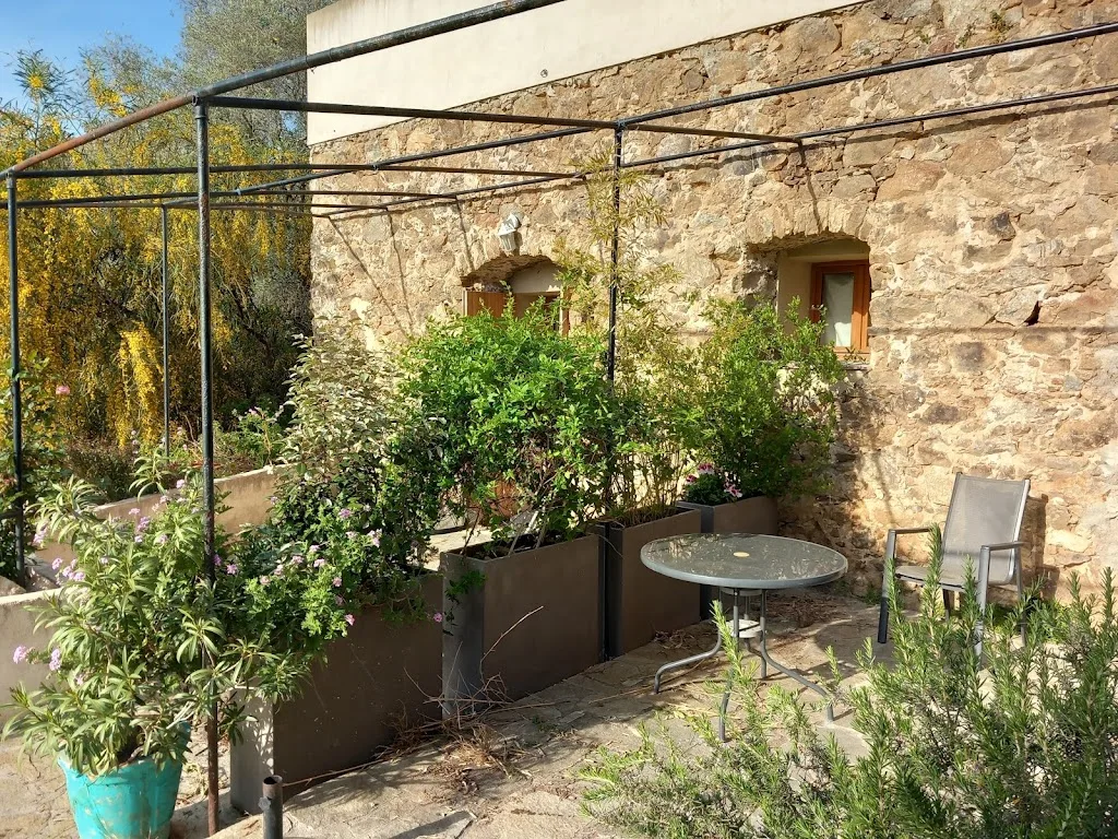 Chez Rose - photo 2